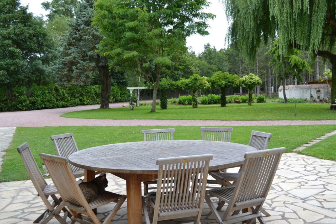 Mauzé-Thouarsais Le Domaine Des Bois Bed & Breakfast エクステリア 写真